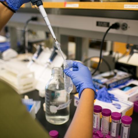 Student collects samples into a vial.